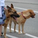 Fischerfest 2007 - 127